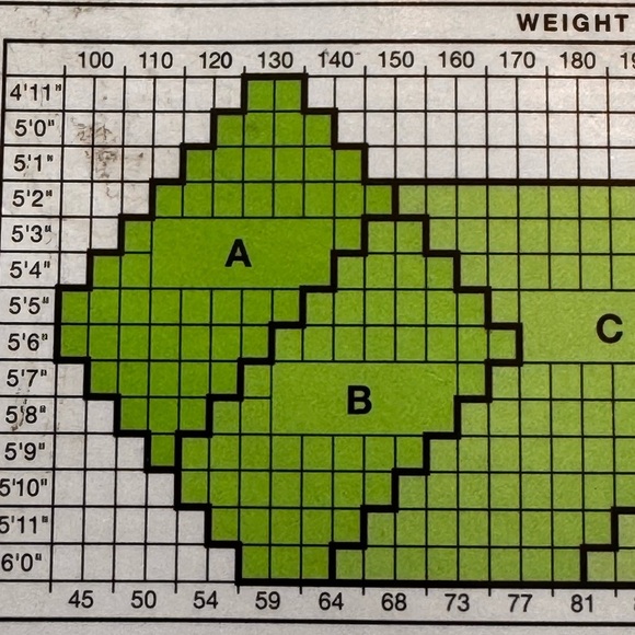 West Loop sheer diamond control top panty hose NWT - Picture 5 of 5